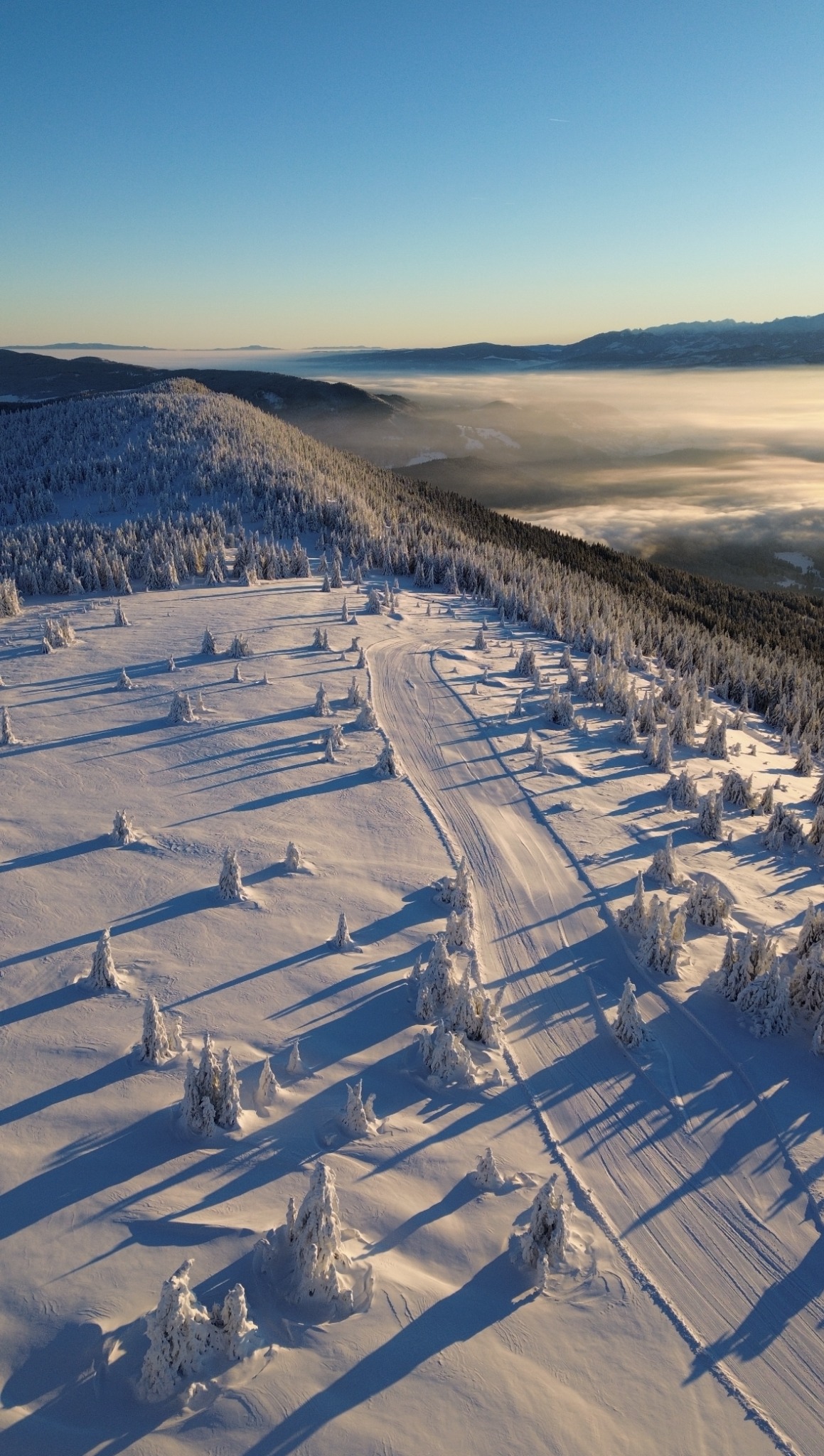 Snow-covered mountain slopes and forest above low cloud